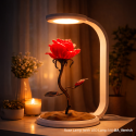 LED Lamp Kit 001